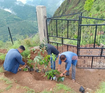 युद्ध स्थलमा वृक्षा रोपन