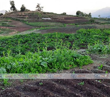 खाली रहेको मारिङ यसरी बन्यो अनुसन्धान केन्द्र