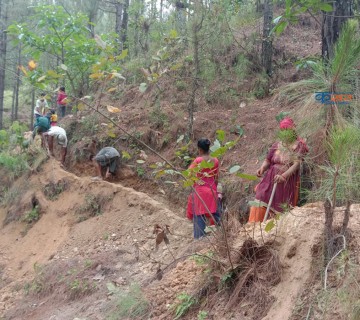 बाँफिकाेटमा १४ सय बढीले पाए केहि दिनकाे राेजगारी