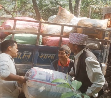 बाँफिकोट ६ का स्थानीय व्यवसायिक बेसार खेतीमा, घरबाटै बिक्रि भएपछि मख्ख