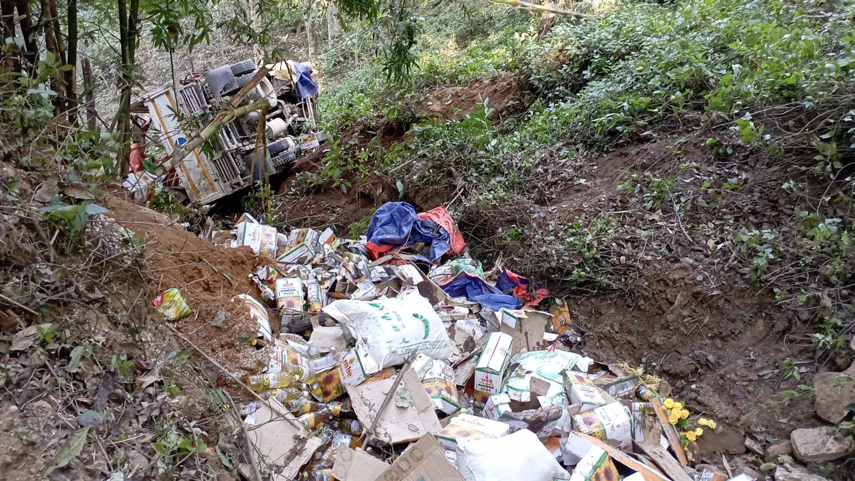 त्रिवेणीमा मिनि ट्रक दुर्घटना हुँदा दुई जना घाइते 